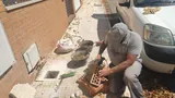 Desatrancos