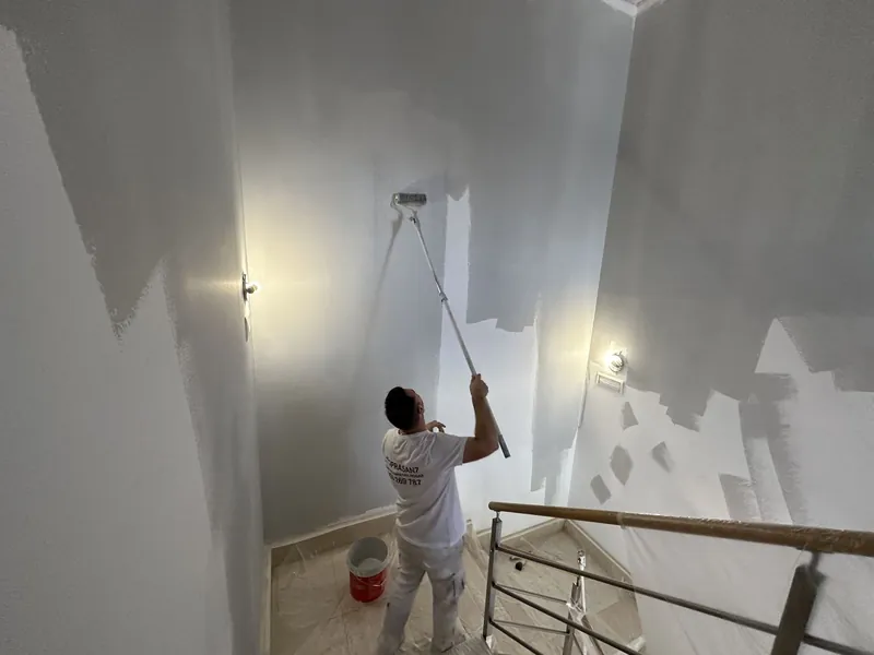 Pintura: trabajo de Prasanz
